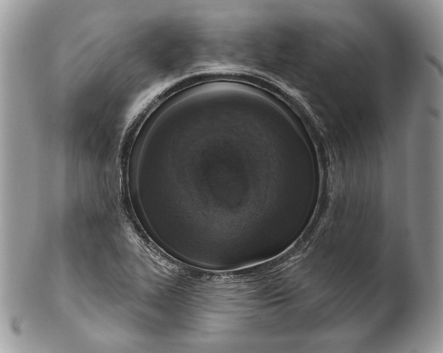 X0000101151319200807251039