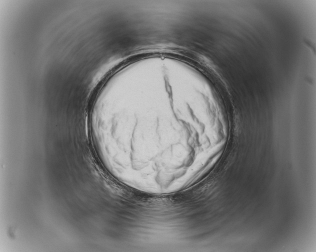 X0000101151320200807251039