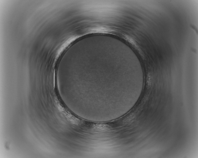 X0000101151323200807251039