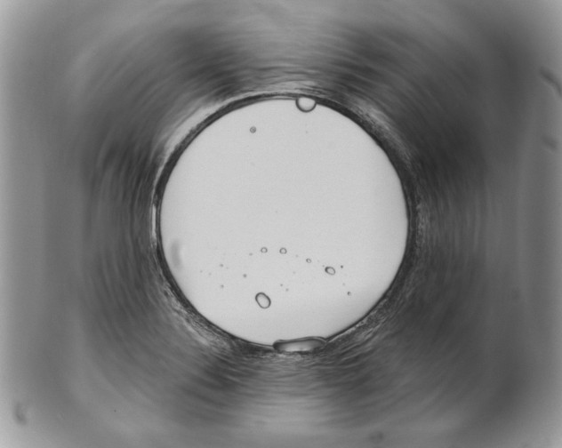 X0000101151324200807251039