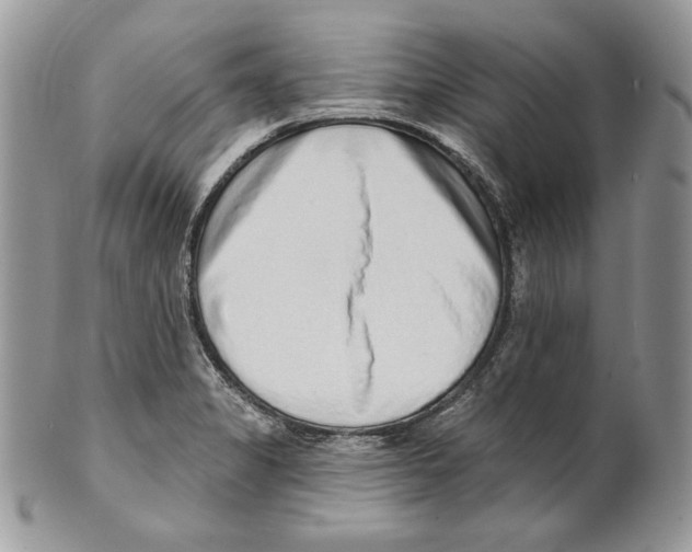 X0000101151325200807251039