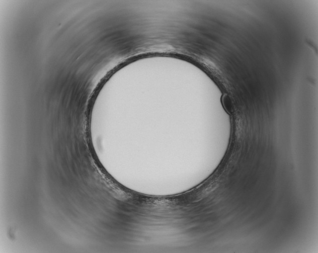X0000101151326200807251039