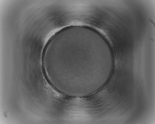 X0000101151327200807251039