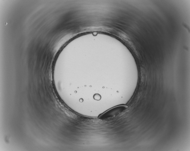 X0000101151328200807251039