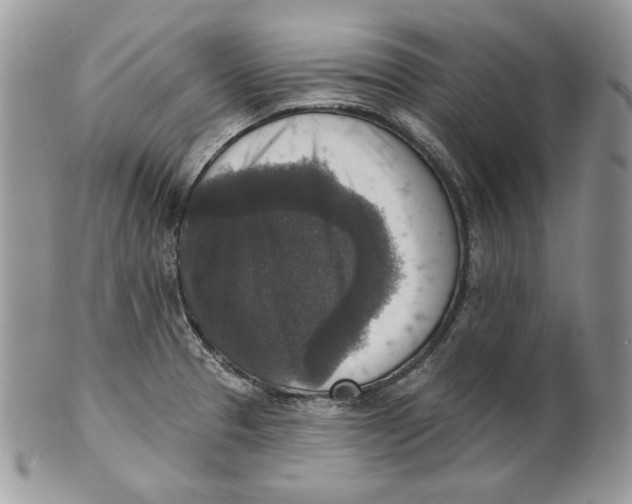 X0000101151329200807251039