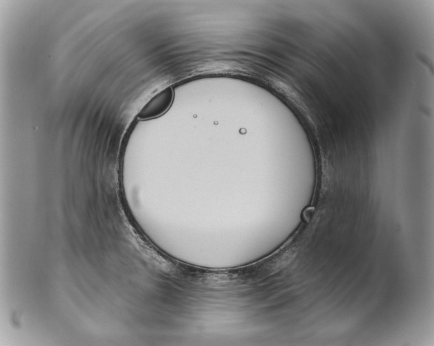 X0000101151330200807251039