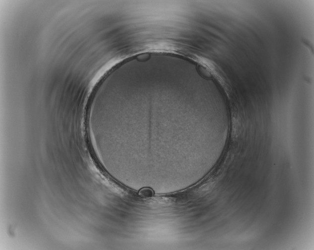X0000101151331200807251039