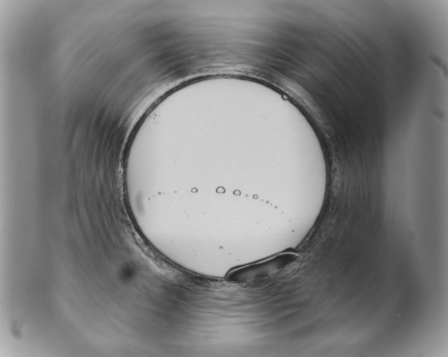 X0000101151332200807251039