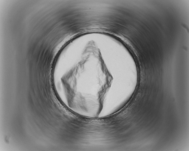 X0000101151333200807251039