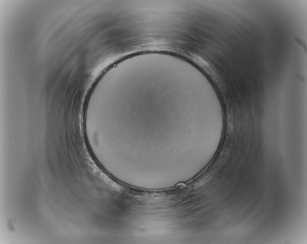 X0000101151334200807251039