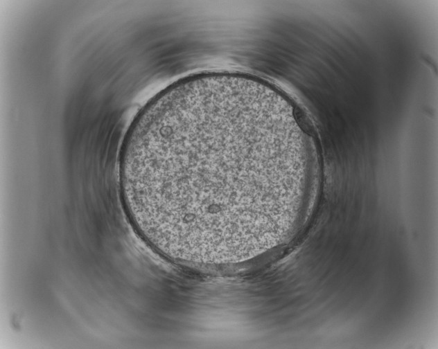 X0000101151335200807251039