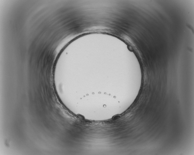 X0000101151336200807251039