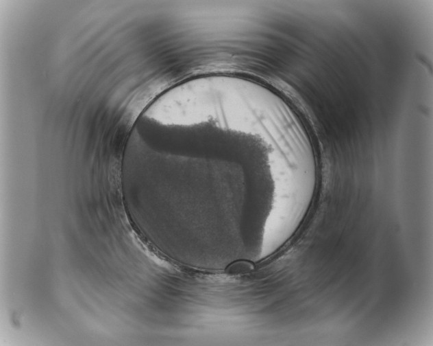 X0000101151337200807251039