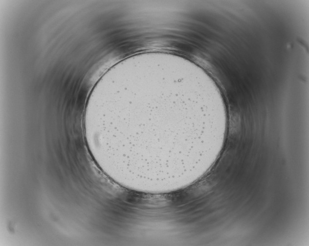 X0000101151338200807251039