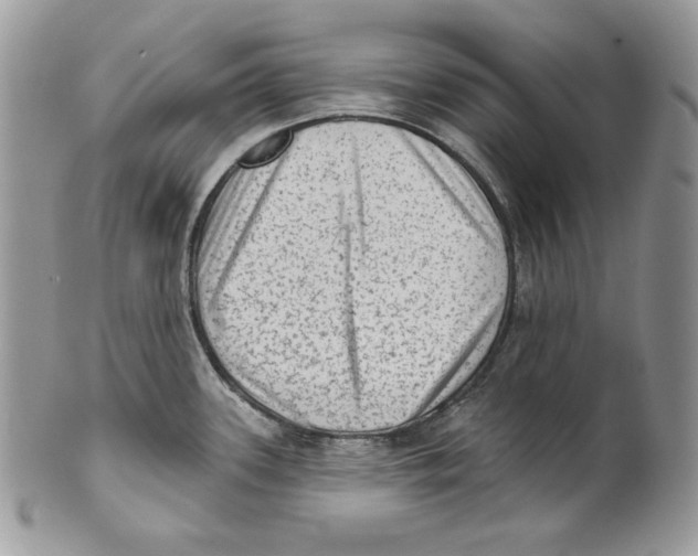 X0000101151339200807251039