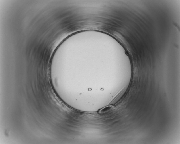 X0000101151340200807251039