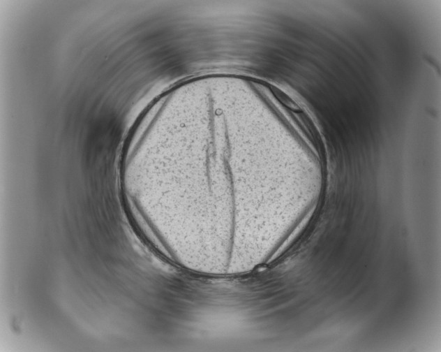 X0000101151341200807251039