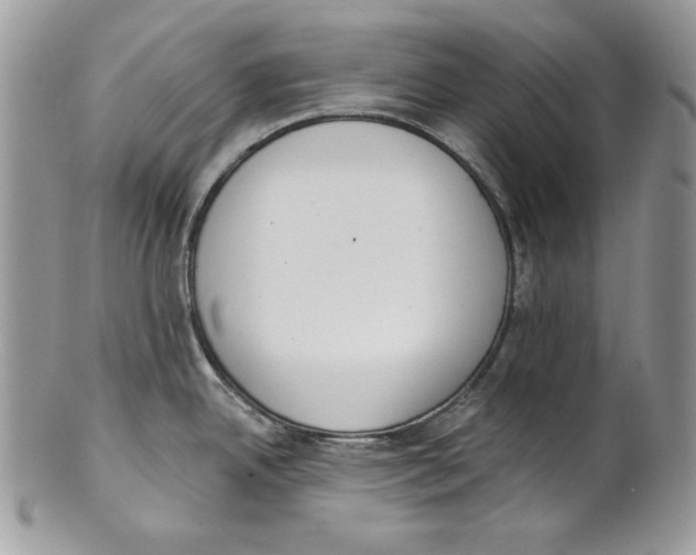 X0000101151342200807251039