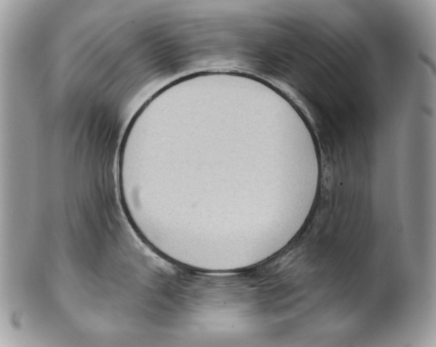 X0000101151343200807251039