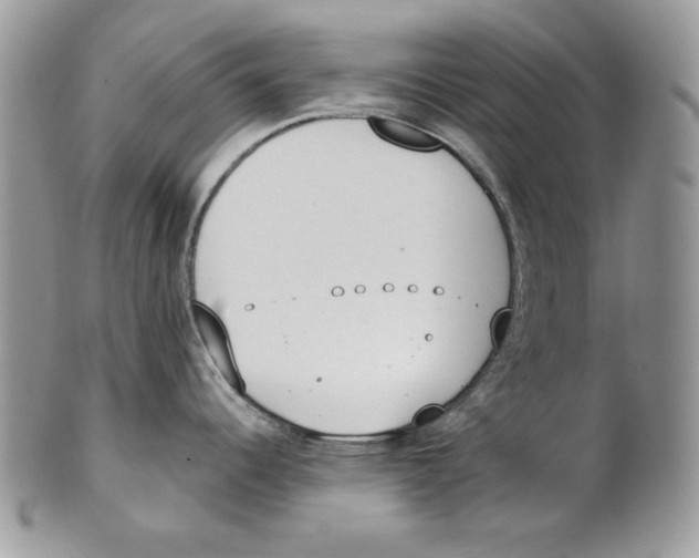 X0000101151344200807251040