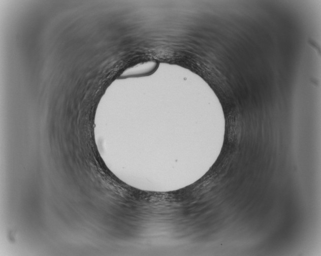 X0000101151345200807251039