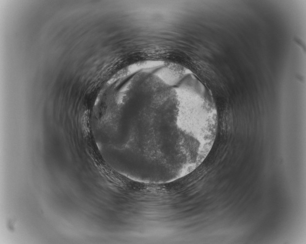X0000101151346200807251039