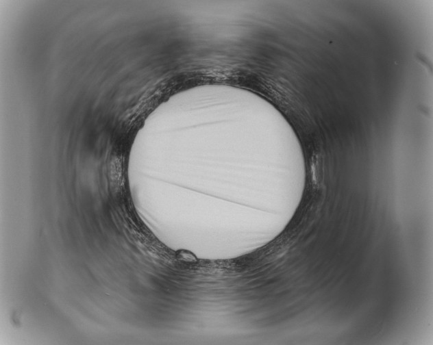 X0000101151347200807251039