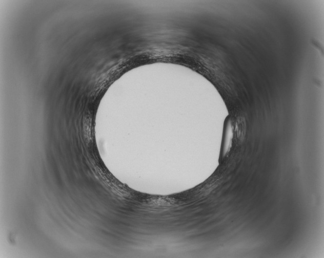 X0000101151348200807251039