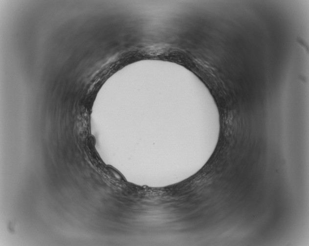 X0000101151349200807251039