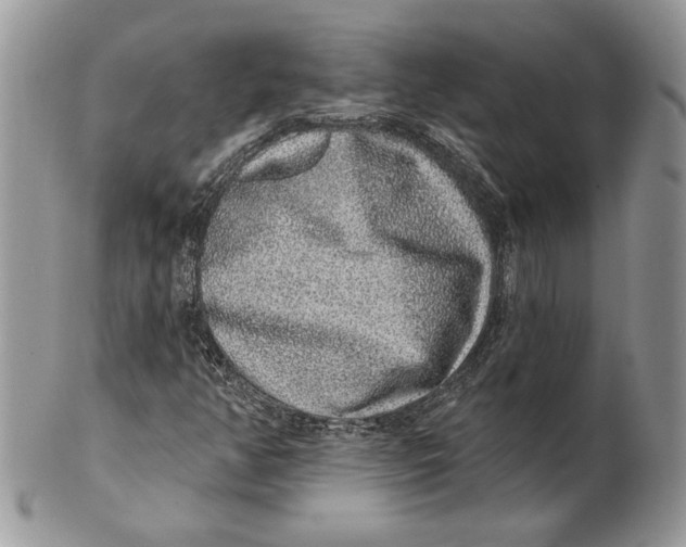 X0000101151350200807251039