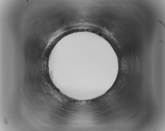 X0000101151352200807251039