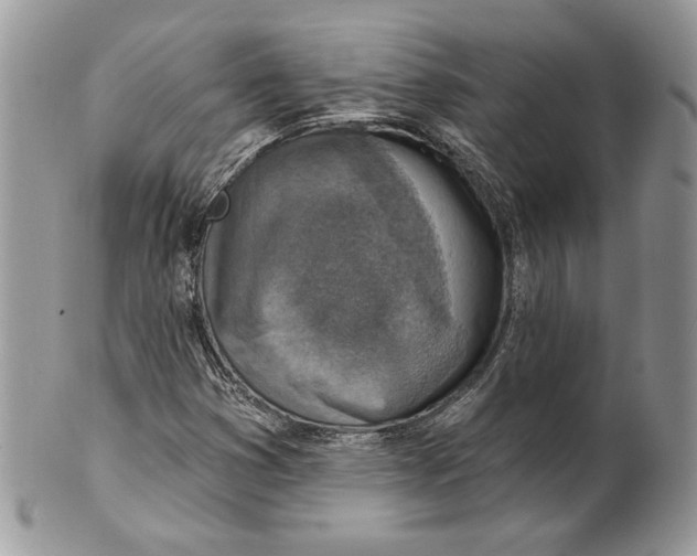 X0000101151353200807251039