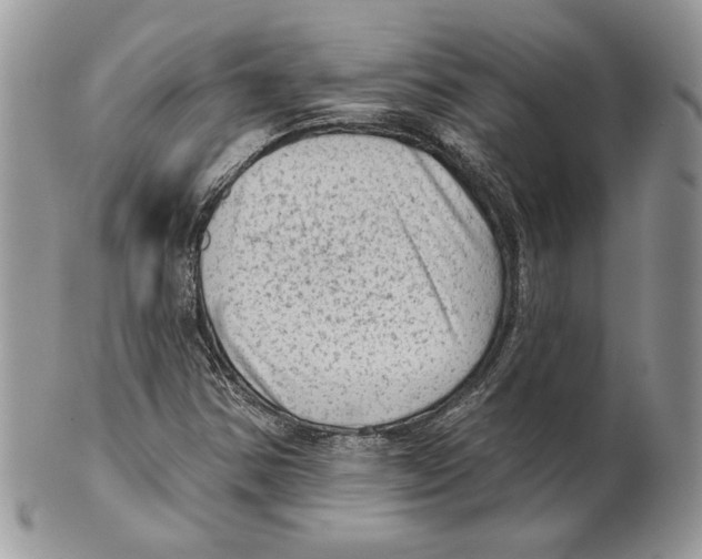 X0000101151354200807251039