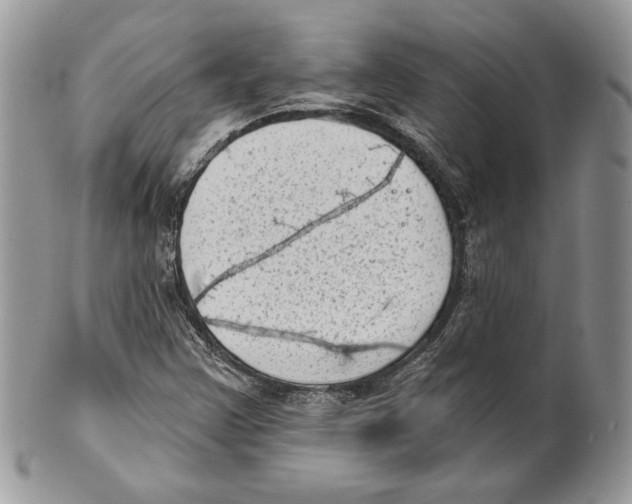 X0000101151355200807251039