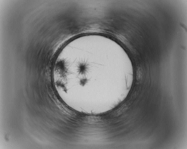 X0000101151356200807251039