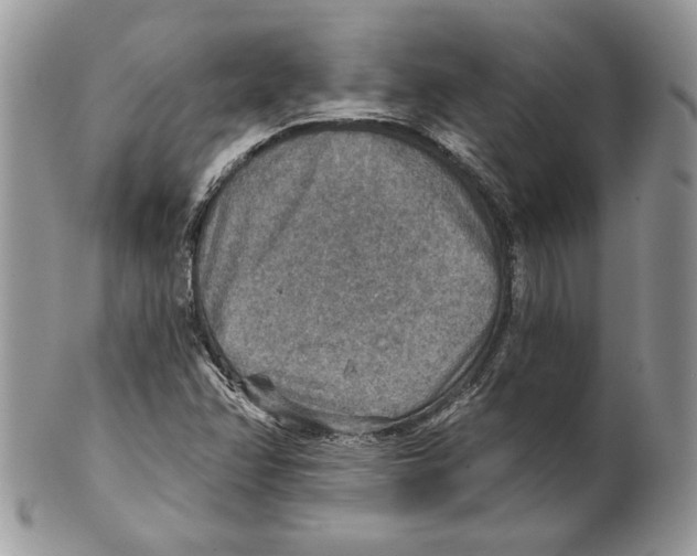 X0000101151358200807251039