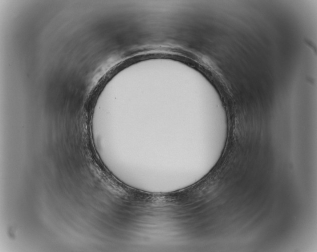 X0000101151360200807251039