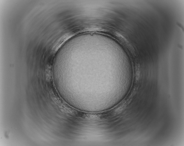 X0000101151361200807251039