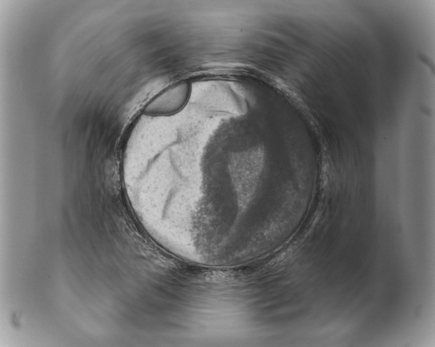 X0000101151362200807251039