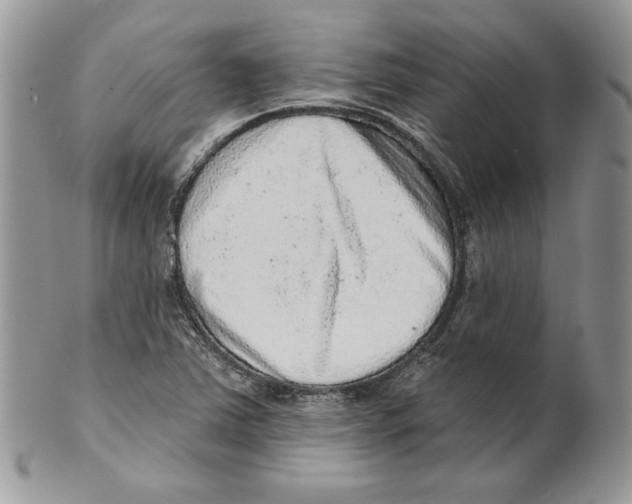 X0000101151363200807251039