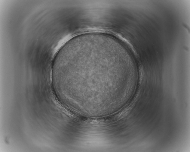 X0000101151365200807251039