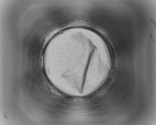 X0000101151366200807251039