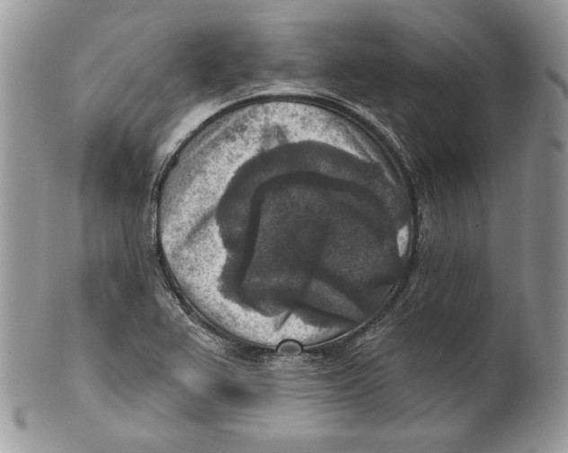 X0000101151367200807251039