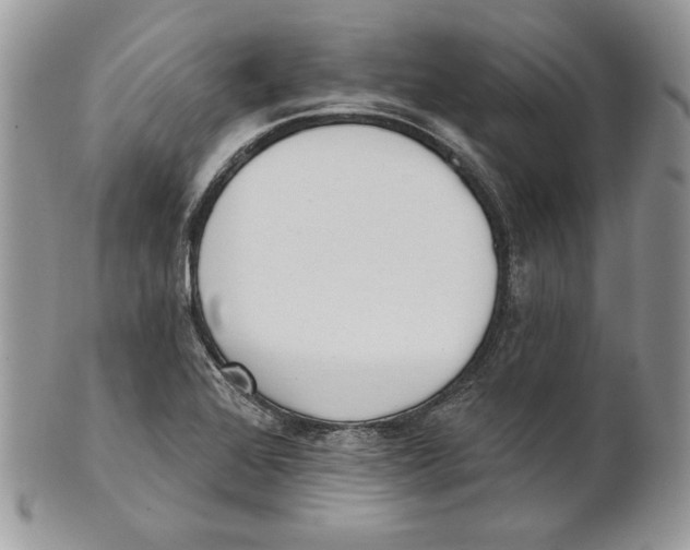 X0000101151368200807251039