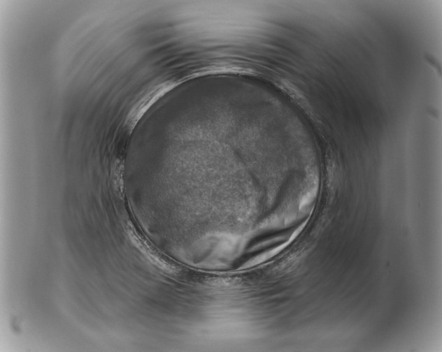 X0000101151369200807251039