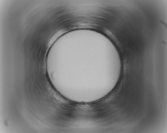 X0000101151370200807251038