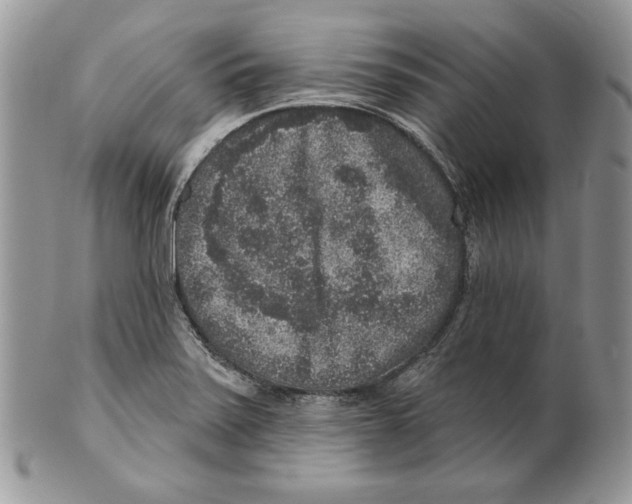 X0000101151371200807251038