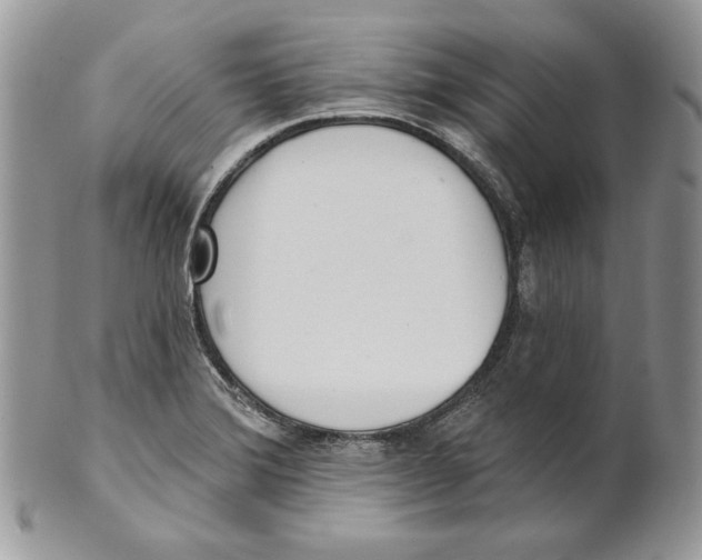 X0000101151372200807251038