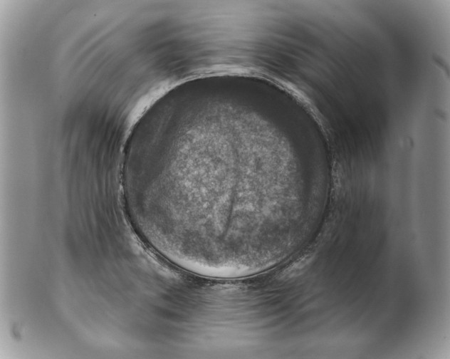 X0000101151373200807251038