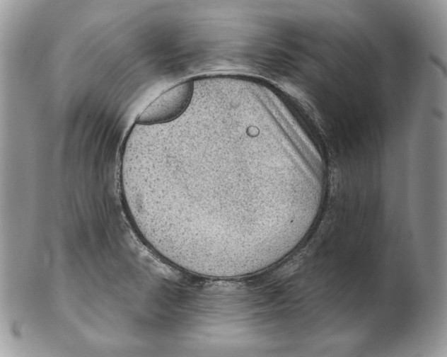 X0000101151374200807251038